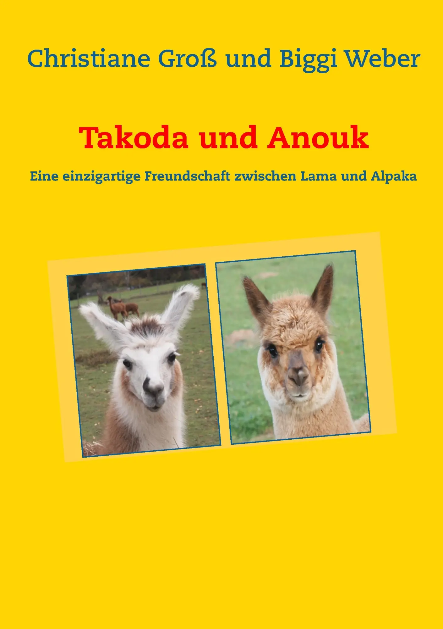 Cover: 9783739207827 | Takoda und Anouk | Christiane Groß (u. a.) | Taschenbuch | 128 S.