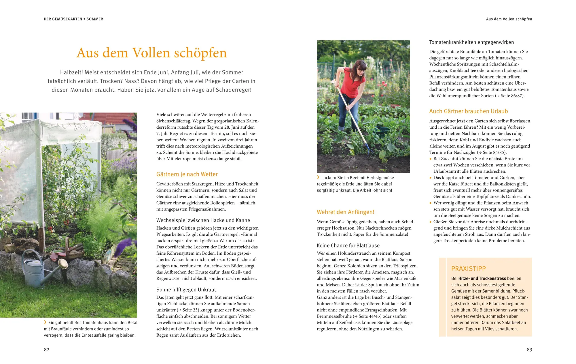 Bild: 9783833877827 | Reiche Ernte | Christel Rupp | Buch | GU Garten extra | 240 S. | 2021