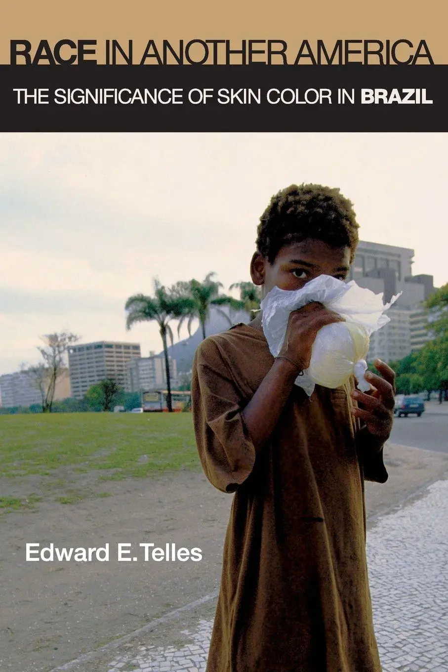 Cover: 9780691127927 | Race in Another America | The Significance of Skin Color in Brazil
