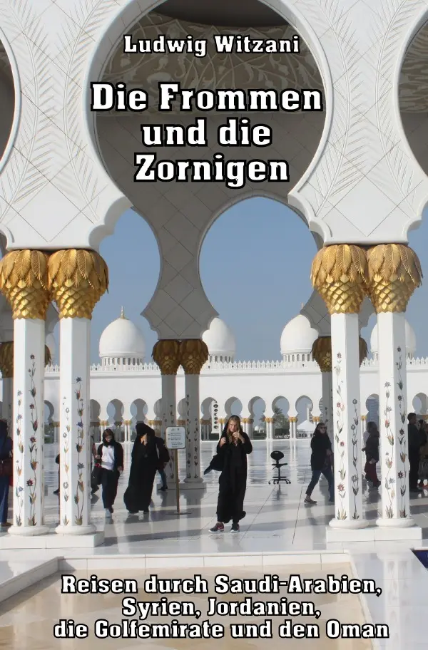 Cover: 9783819068027 | Die Frommen und die Zornigen | Ludwig Witzani | Taschenbuch | 352 S.