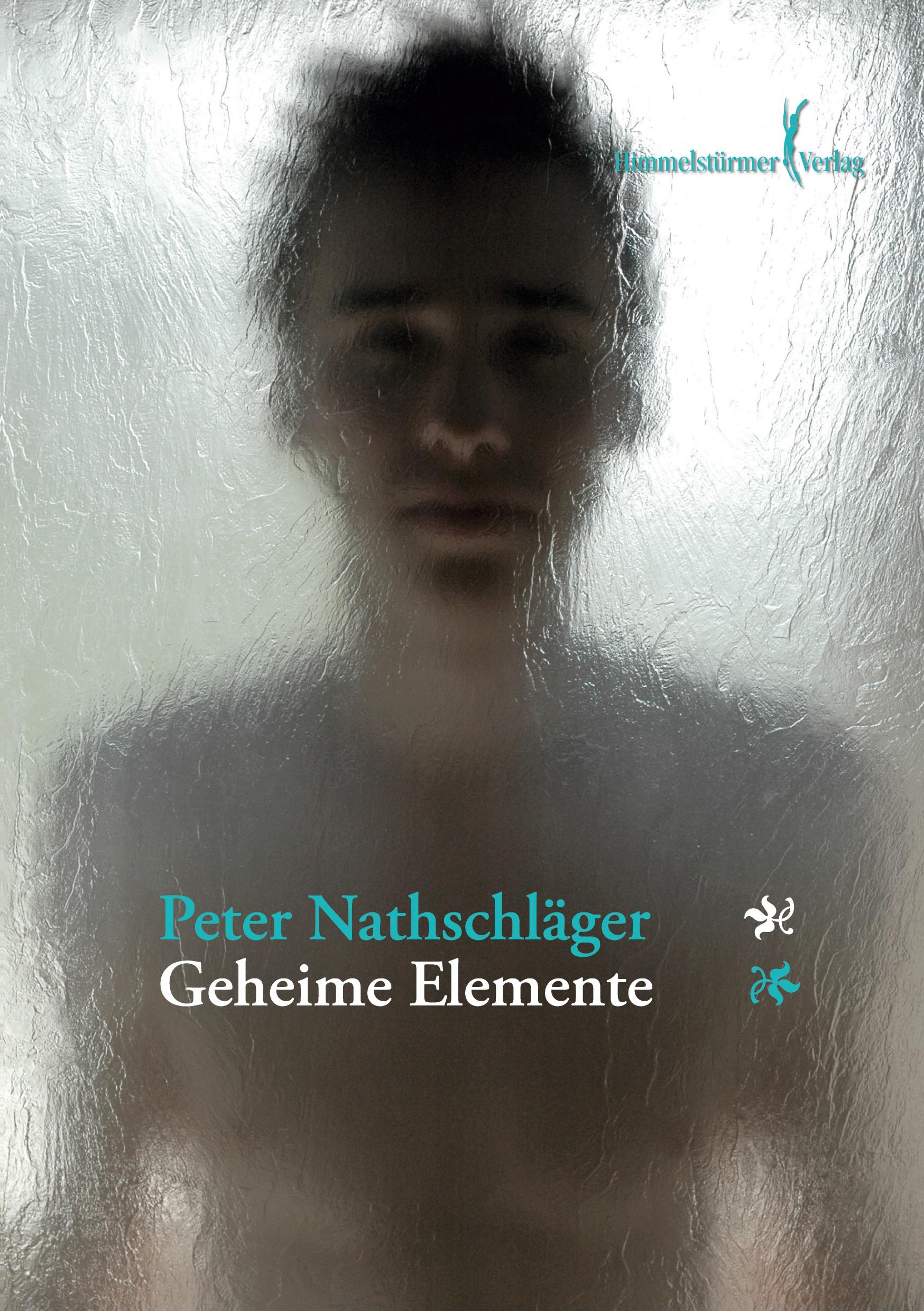 Cover: 9783940818027 | Geheime Elemente | Peter Nathschlaeger | Taschenbuch | Paperback