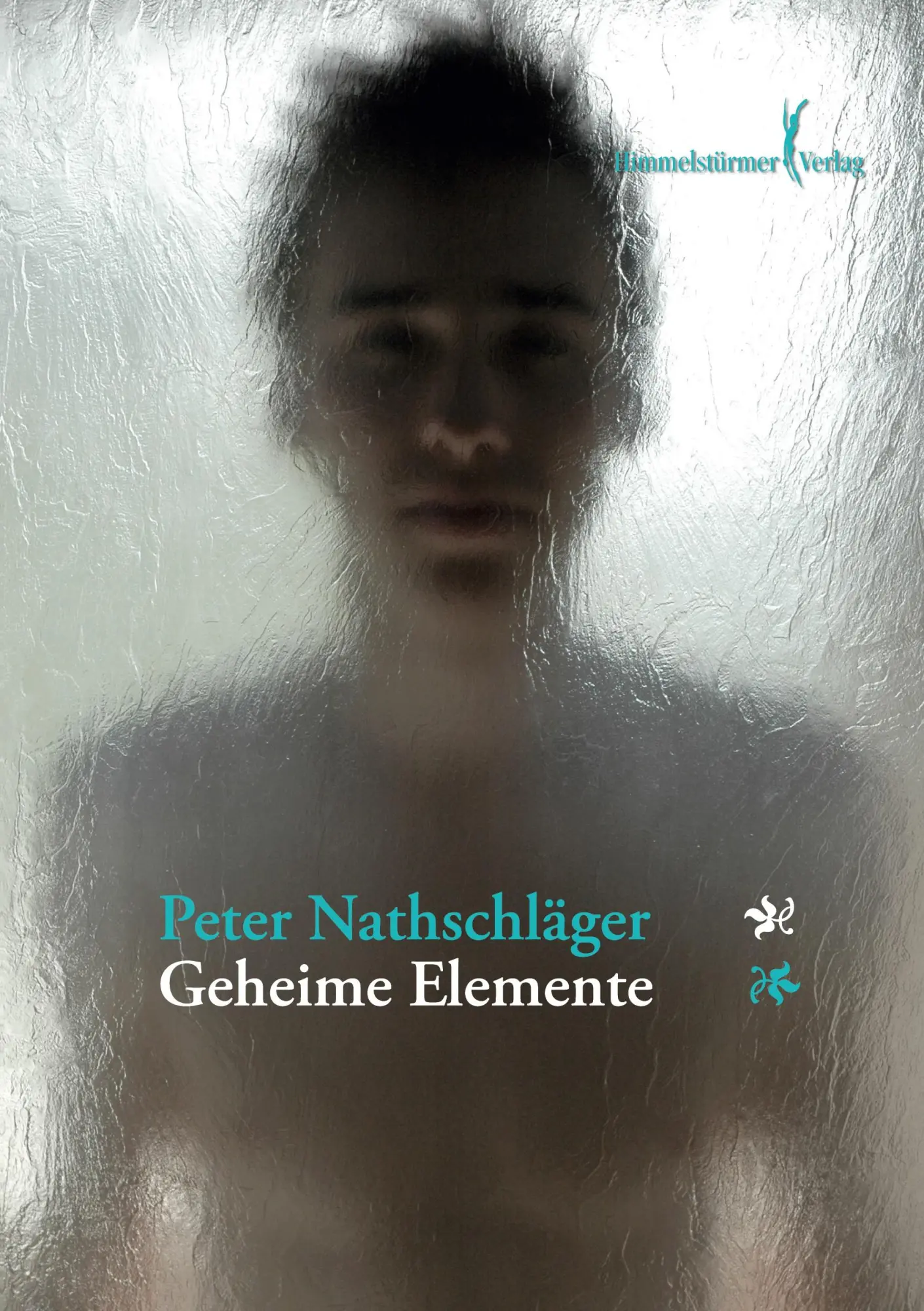 Cover: 9783940818027 | Geheime Elemente | Peter Nathschlaeger | Taschenbuch | Paperback