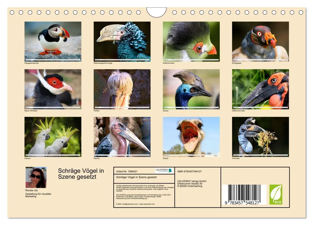 Bild: 9783457548127 | Schräge Vögel in Szene gesetzt (Wandkalender 2026 DIN A4 quer),...