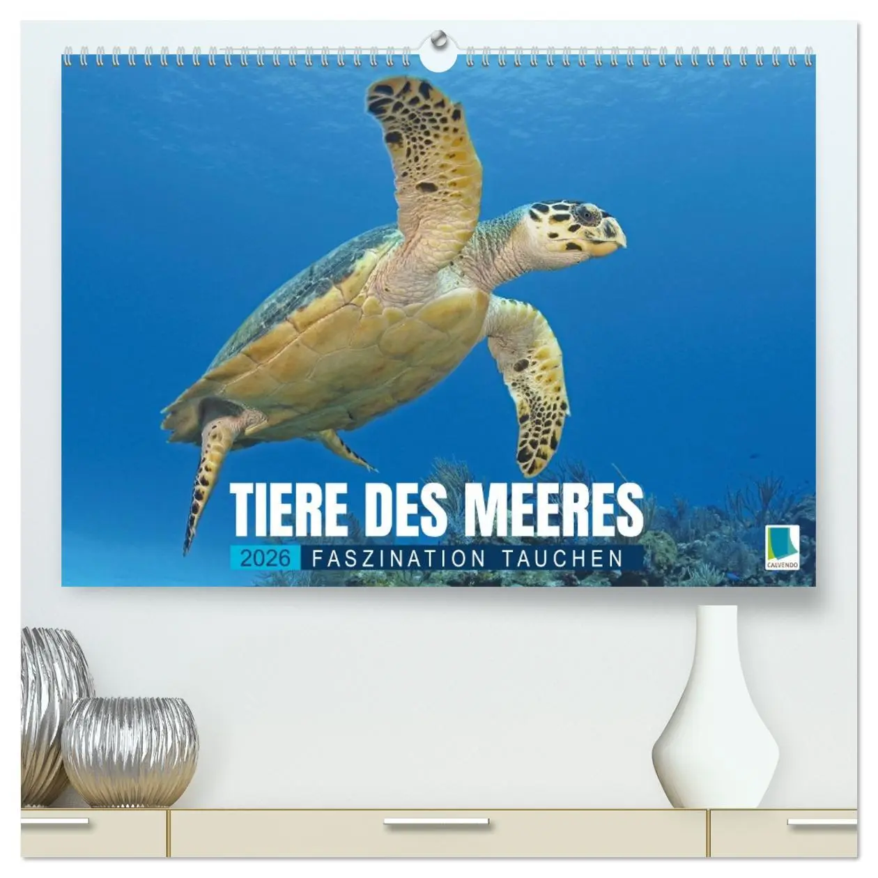 Cover: 9783516638127 | Tiere des Meeres: Faszination Tauchen (hochwertiger Premium...