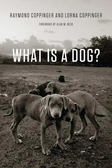 Cover: 9780226478227 | What Is a Dog? | Raymond Coppinger (u. a.) | Taschenbuch | Englisch