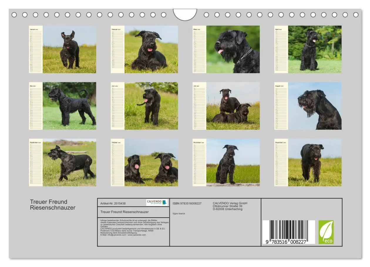 Bild: 9783516008227 | Treuer Freund Riesenschnauzer (Wandkalender 2026 DIN A4 quer),...