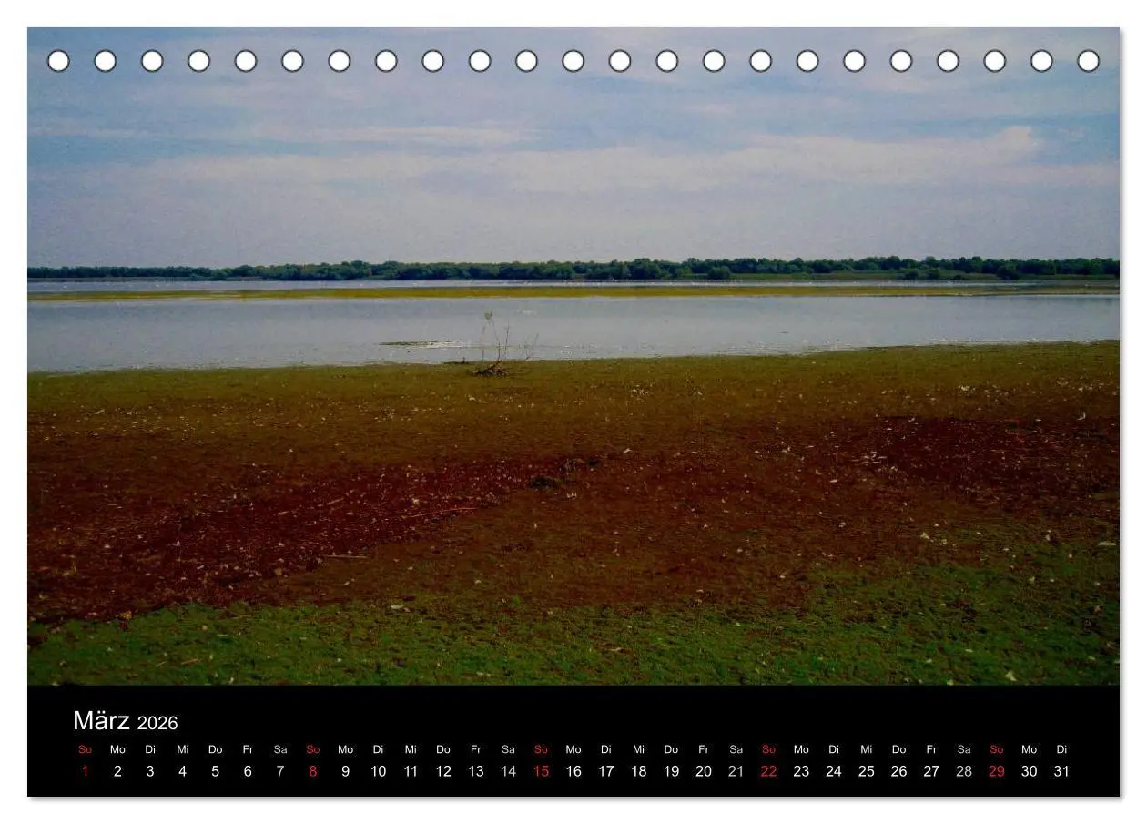 Bild: 9783516168327 | Donaudelta (Tischkalender 2026 DIN A5 quer), CALVENDO Monatskalender