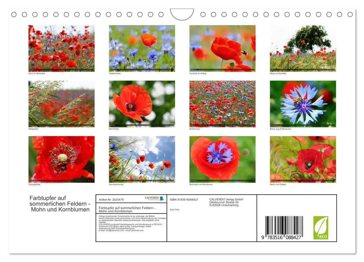 Bild: 9783516088427 | Farbtupfer auf sommerlichen Feldern - Mohn und Kornblumen...