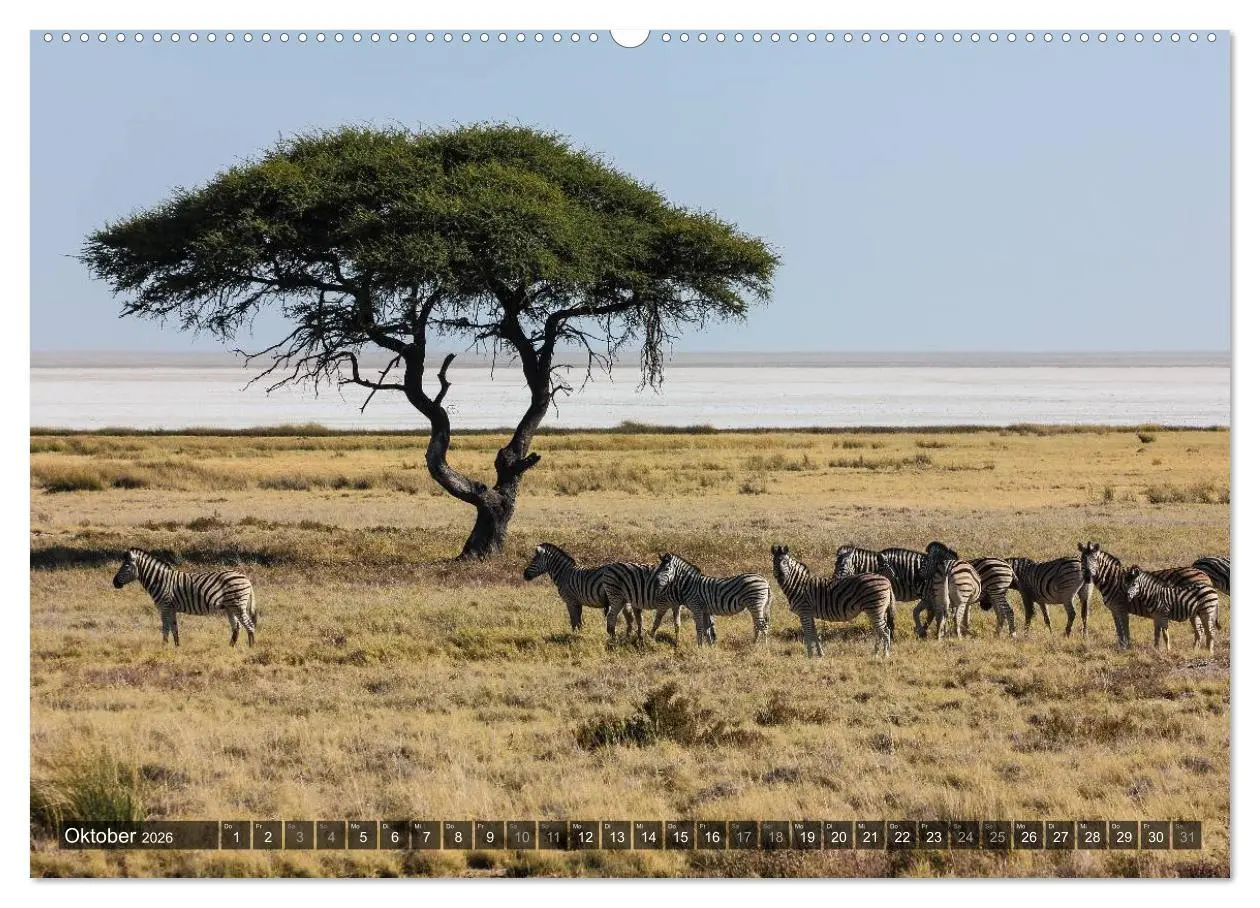 Bild: 9783516158427 | Wildes Namibia (hochwertiger Premium Wandkalender 2026 DIN A2...