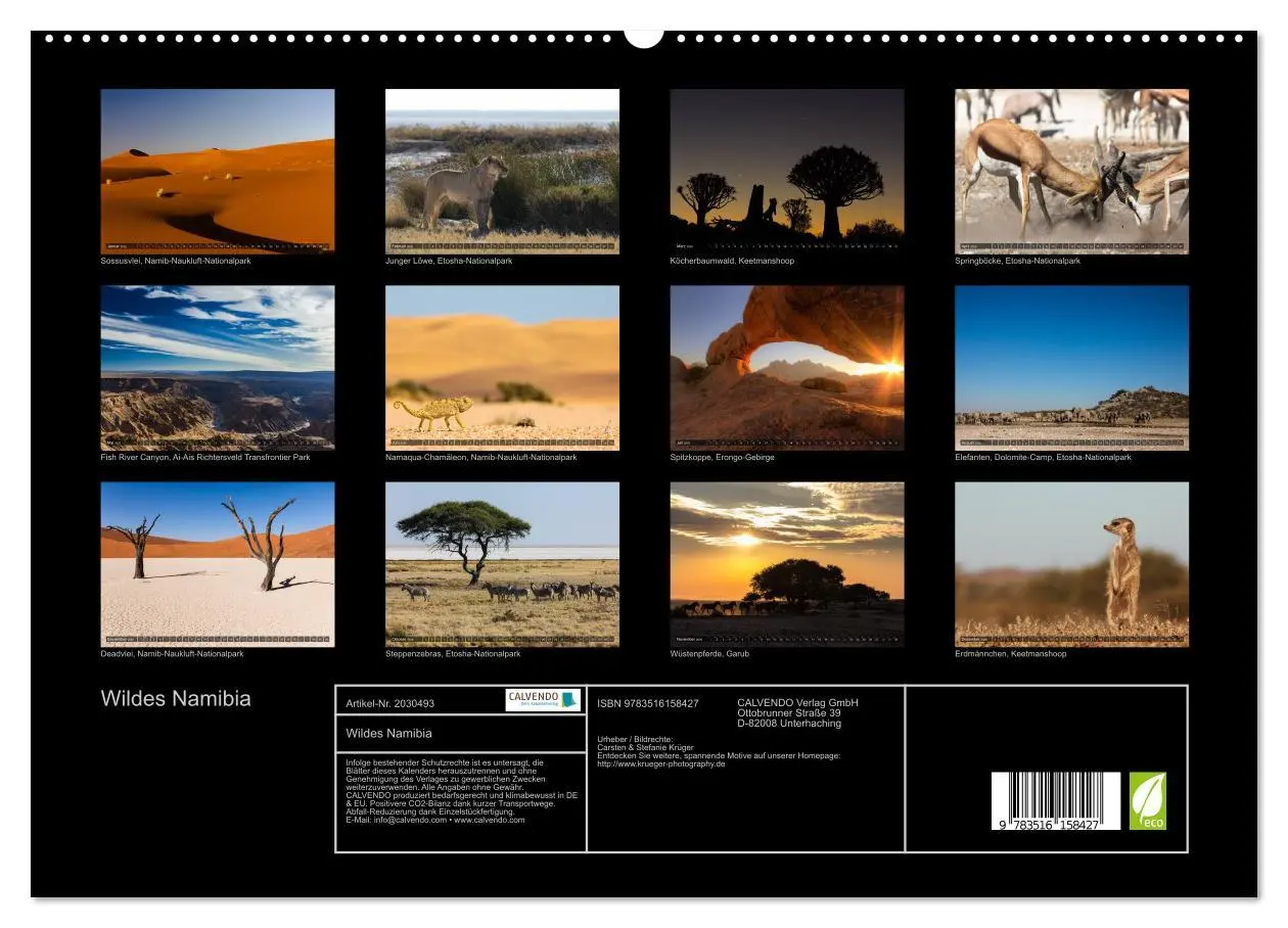 Bild: 9783516158427 | Wildes Namibia (hochwertiger Premium Wandkalender 2026 DIN A2...