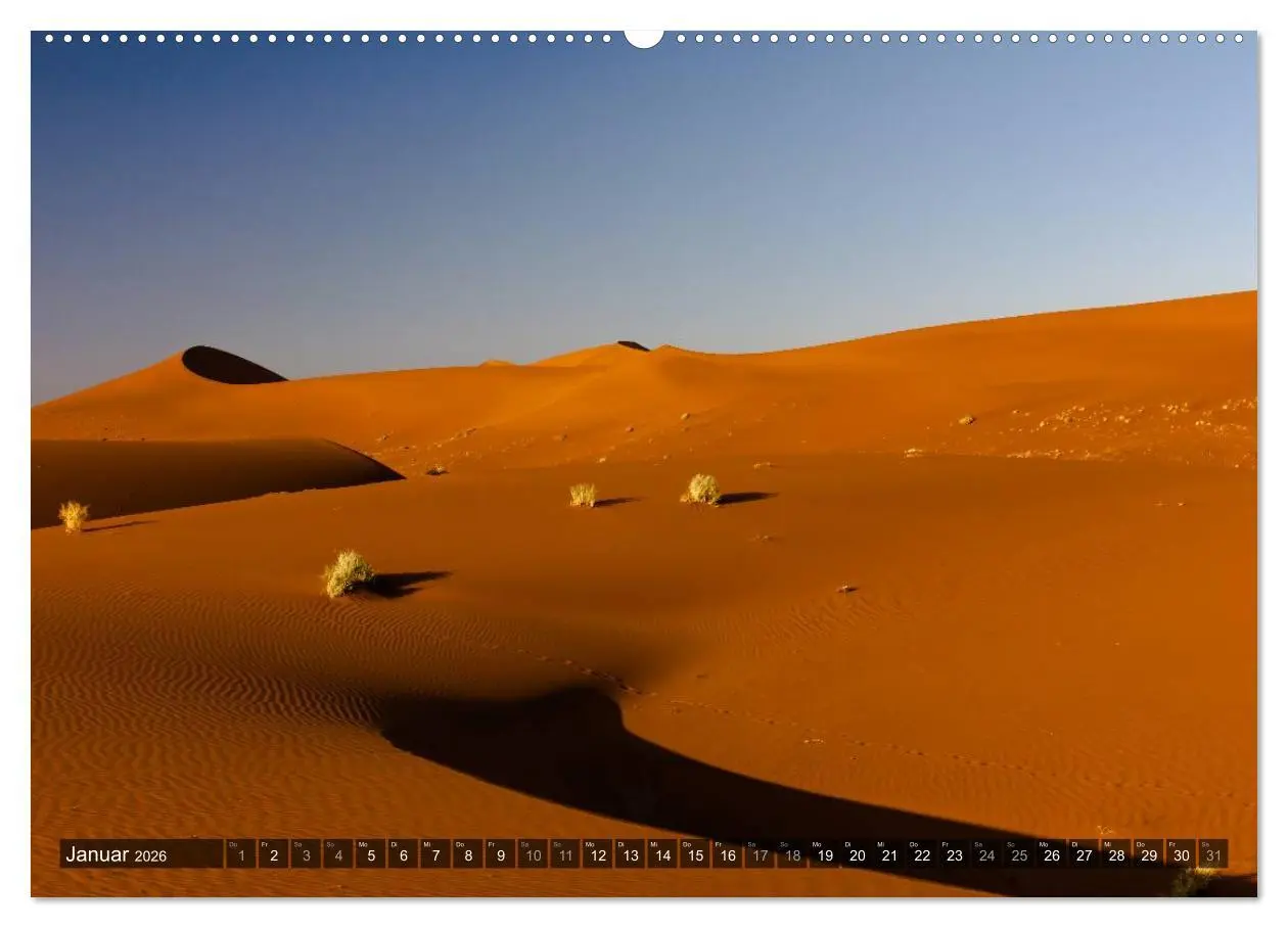 Bild: 9783516158427 | Wildes Namibia (hochwertiger Premium Wandkalender 2026 DIN A2...