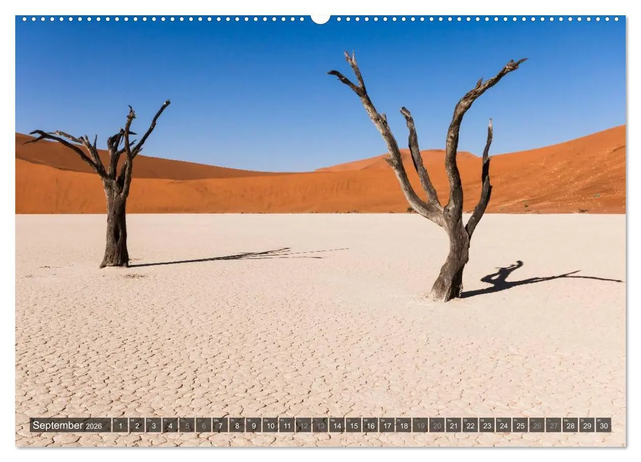 Bild: 9783516158427 | Wildes Namibia (hochwertiger Premium Wandkalender 2026 DIN A2...