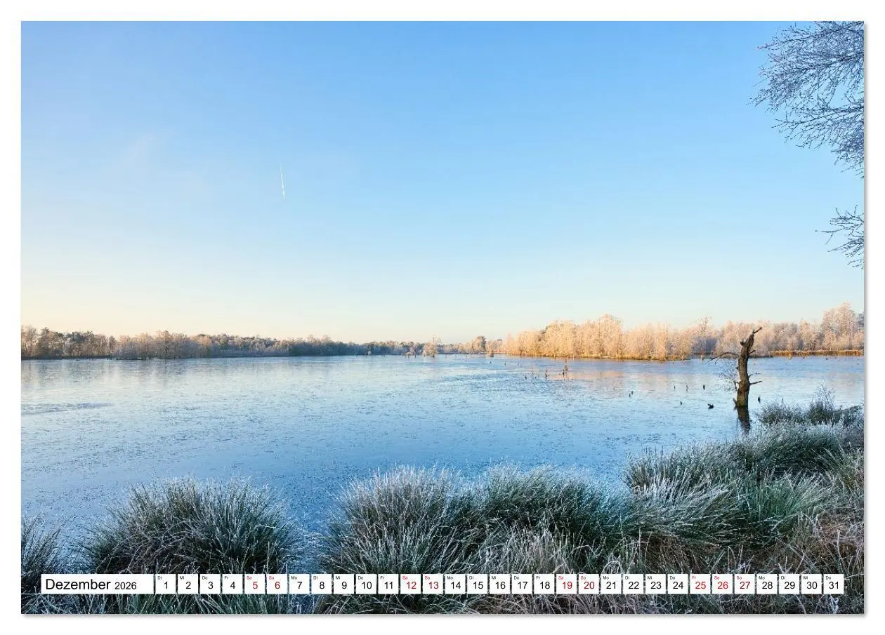 Bild: 9783516608427 | Impressionen aus dem Moor (Tischkalender 2026 DIN A5 quer),...