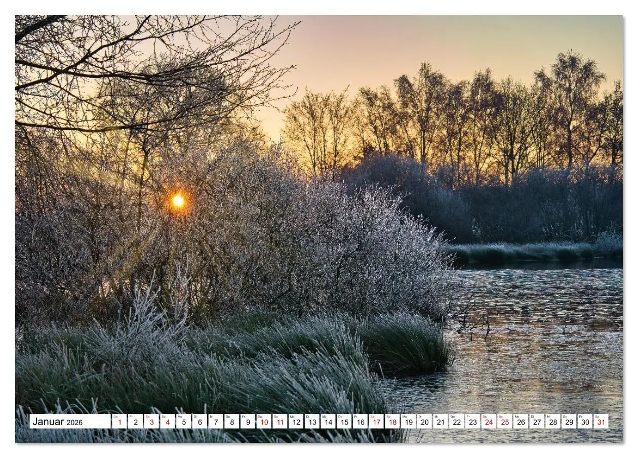 Bild: 9783516608427 | Impressionen aus dem Moor (Tischkalender 2026 DIN A5 quer),...