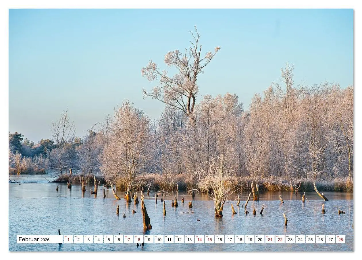 Bild: 9783516608427 | Impressionen aus dem Moor (Tischkalender 2026 DIN A5 quer),...