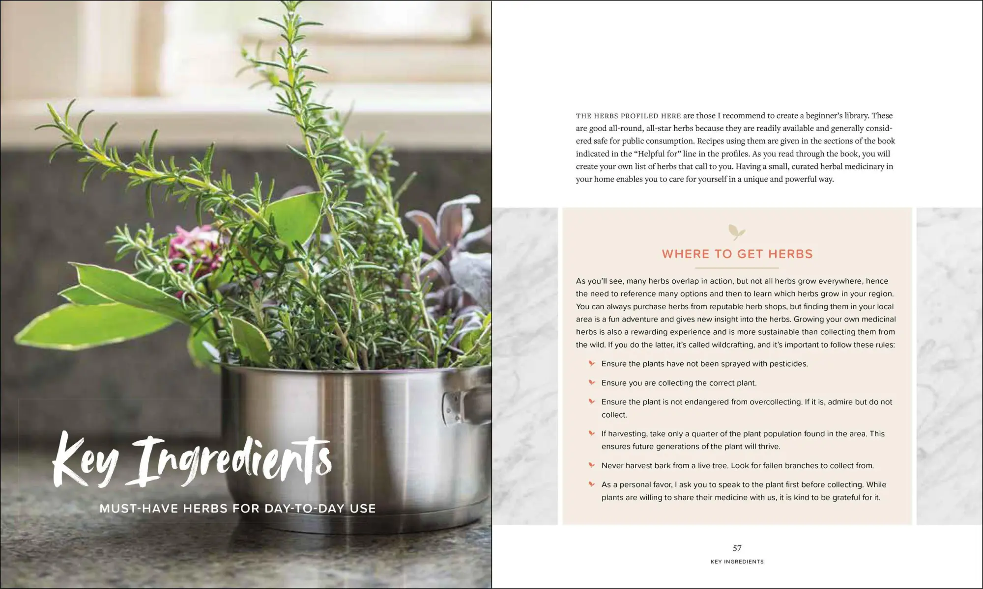 Bild: 9781604698527 | Master Recipes from the Herbal Apothecary | Jj Pursell | Taschenbuch