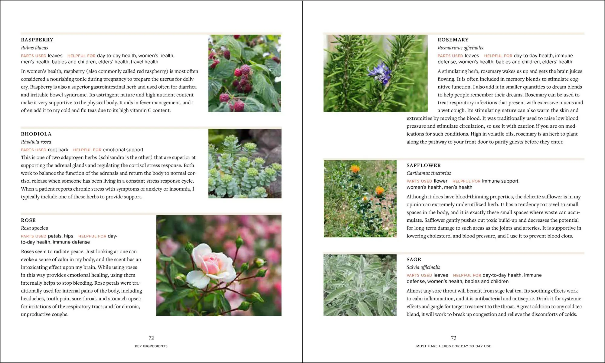 Bild: 9781604698527 | Master Recipes from the Herbal Apothecary | Jj Pursell | Taschenbuch