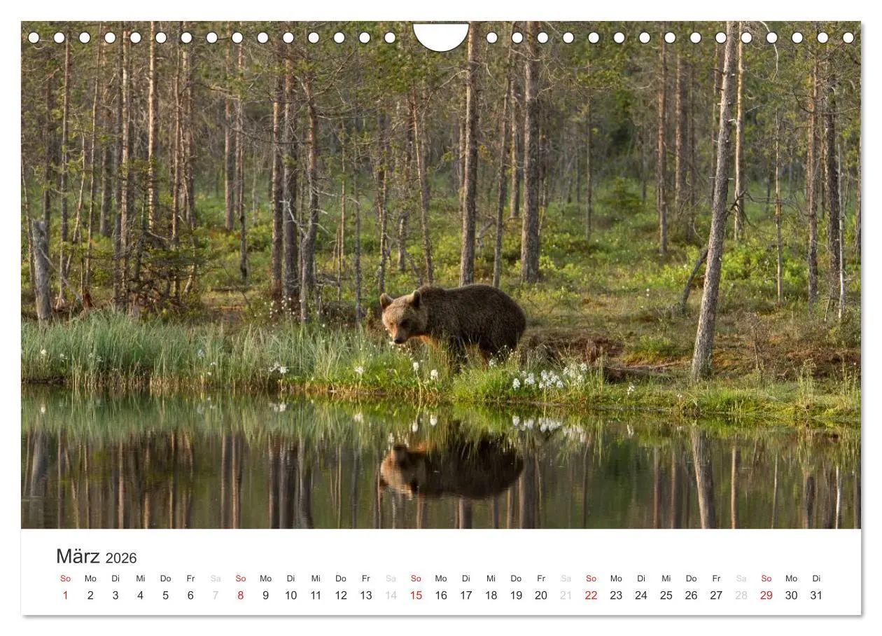 Bild: 9783516078527 | Naturparadies Finnland (Wandkalender 2026 DIN A4 quer), CALVENDO...