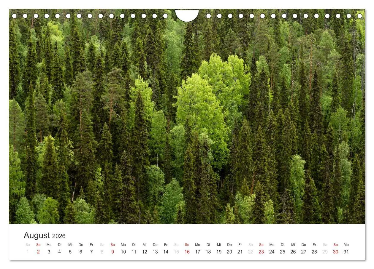Bild: 9783516078527 | Naturparadies Finnland (Wandkalender 2026 DIN A4 quer), CALVENDO...