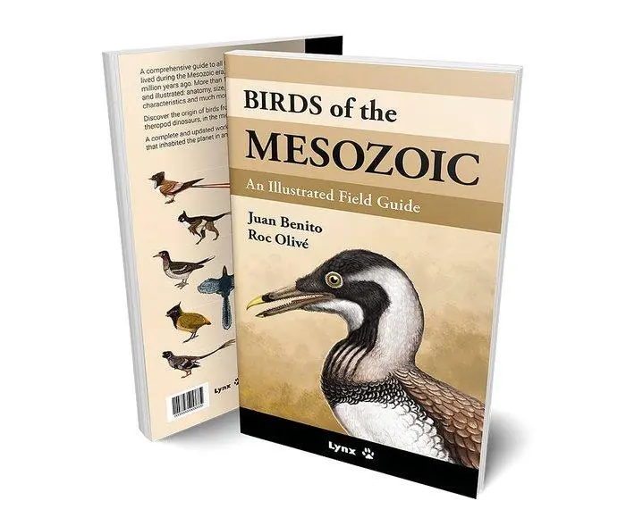 Cover: 9788416728527 | Birds of the Mesozoic | Juan Benito | Taschenbuch | 200 S. | Englisch