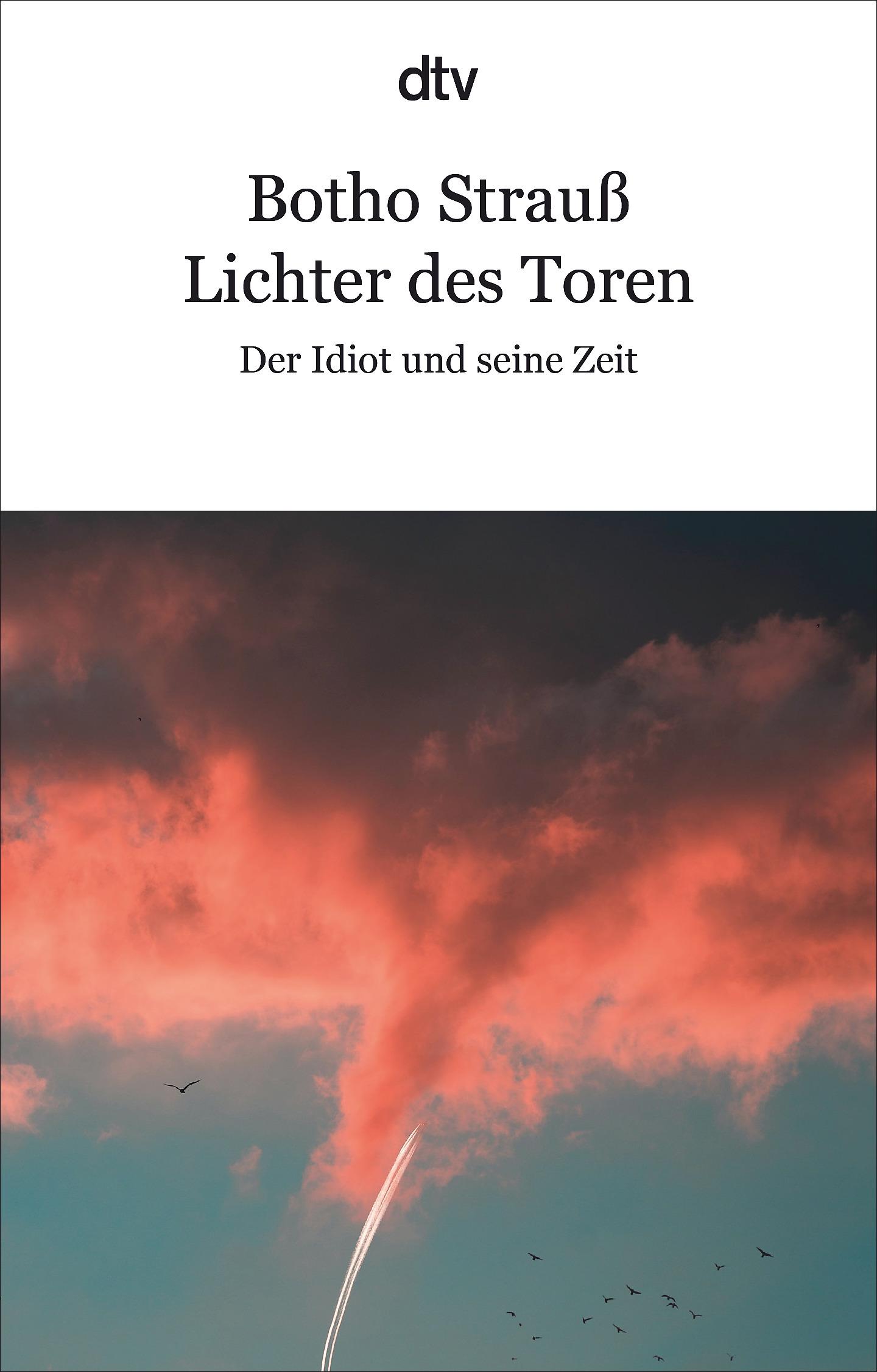 Cover: 9783423148627 | Lichter des Toren | Der Idiot und seine Zeit | Botho Strauß | Buch