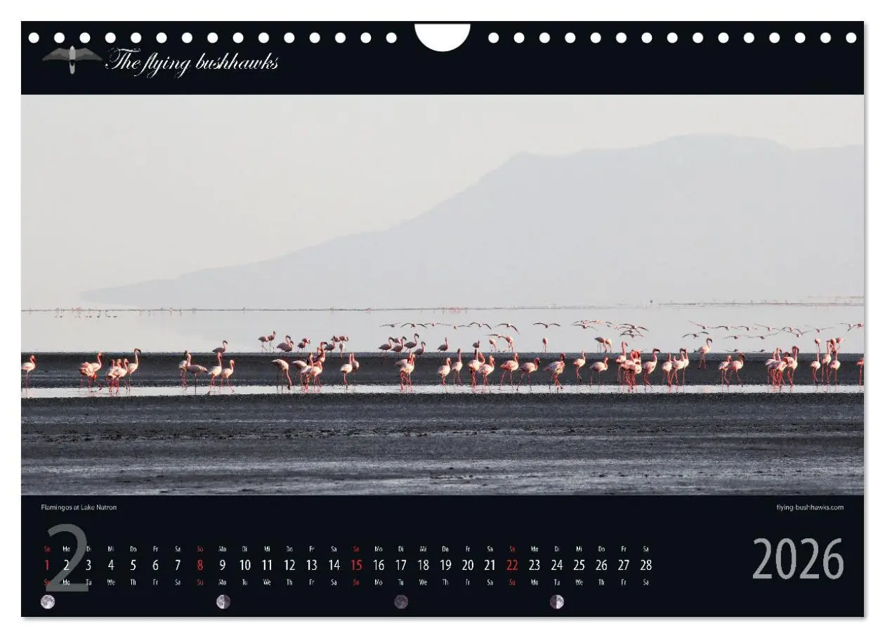 Bild: 9783457278727 | Tansania Blickwinkel 2026 (Wandkalender 2026 DIN A4 quer), CALVENDO...