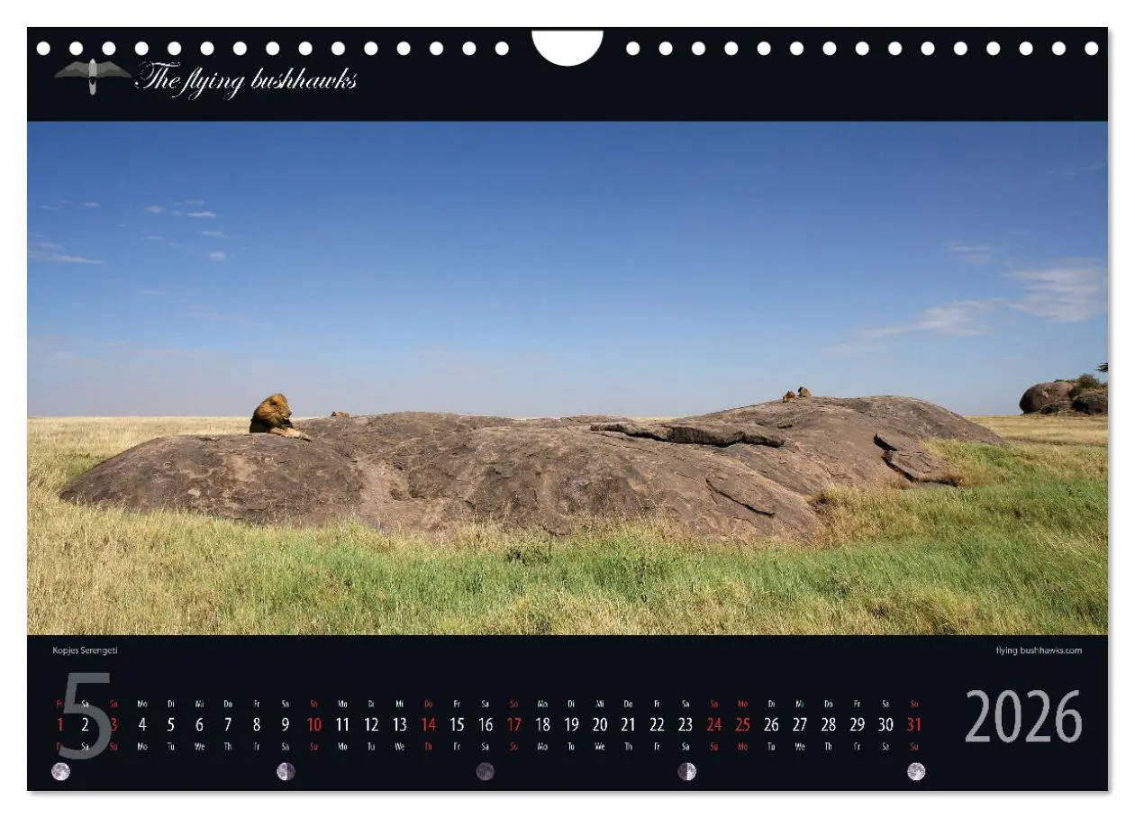 Bild: 9783457278727 | Tansania Blickwinkel 2026 (Wandkalender 2026 DIN A4 quer), CALVENDO...
