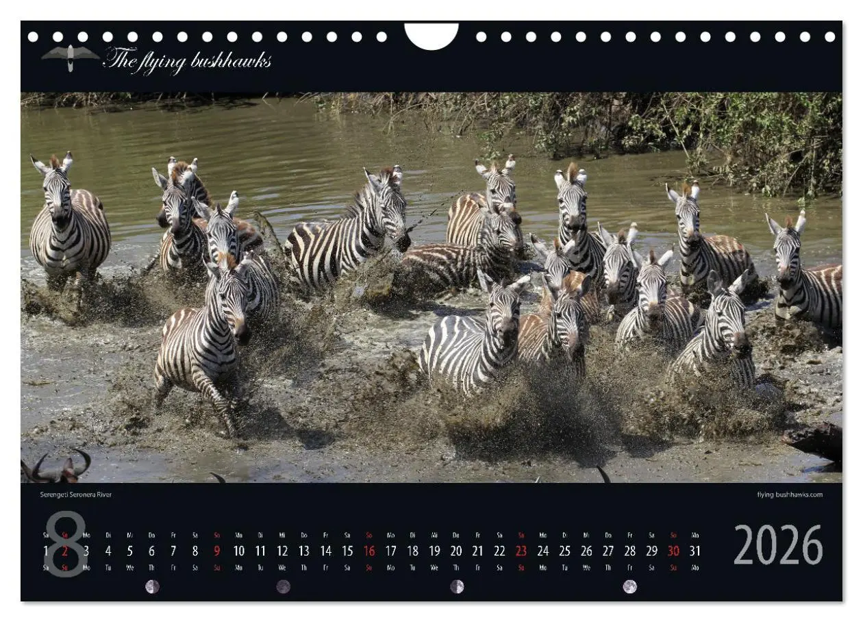 Bild: 9783457278727 | Tansania Blickwinkel 2026 (Wandkalender 2026 DIN A4 quer), CALVENDO...