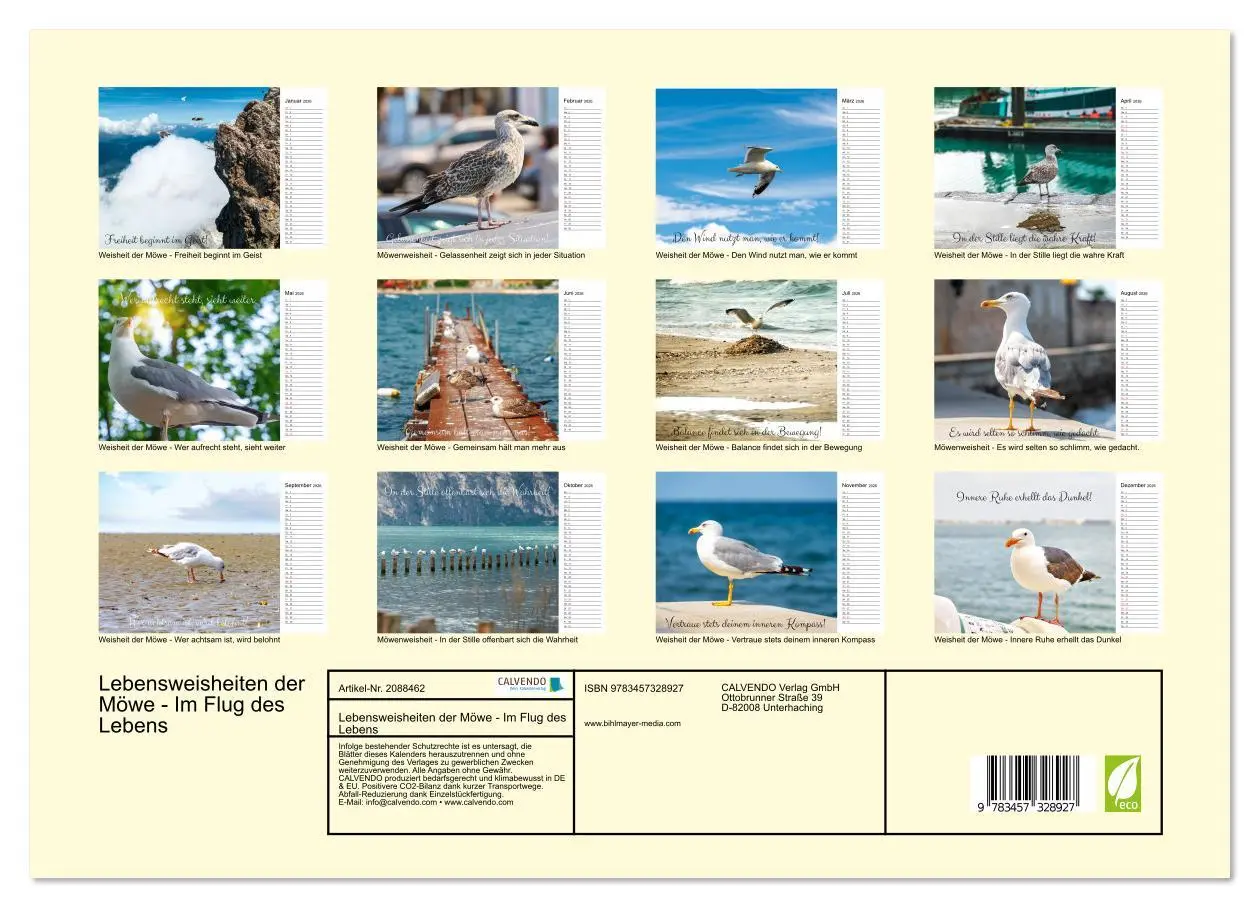 Bild: 9783457328927 | Lebensweisheiten der Möwe - Im Flug des Lebens (Wandkalender 2026...