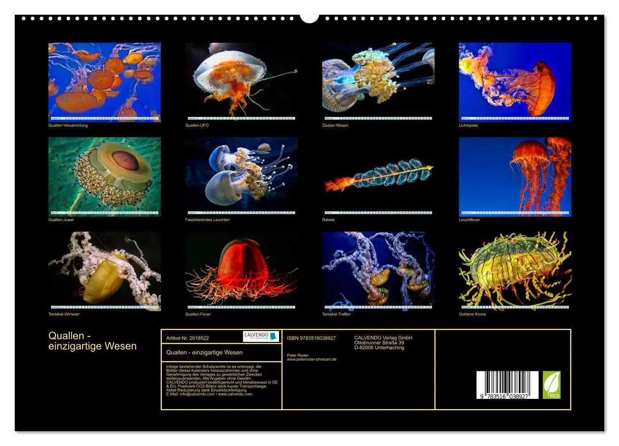 Bild: 9783516038927 | Quallen - einzigartige Wesen (hochwertiger Premium Wandkalender...