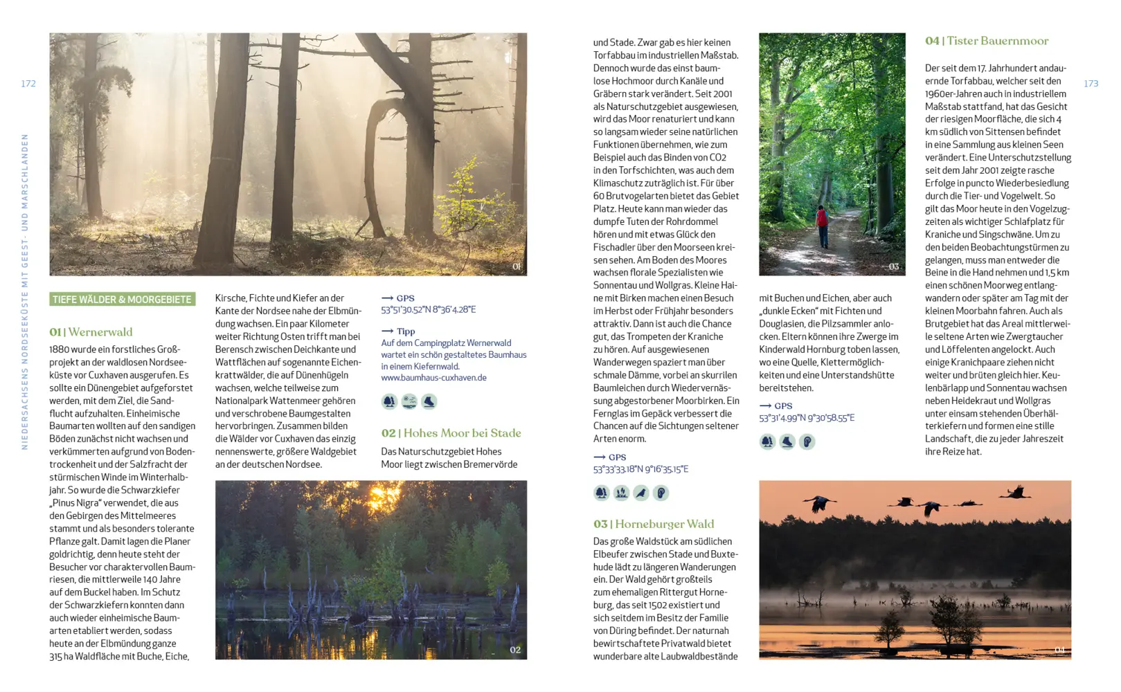 Bild: 9783942048927 | Wild Guide Hamburg &amp; der Nordwesten | Nehrhoff von Holderberg Björn