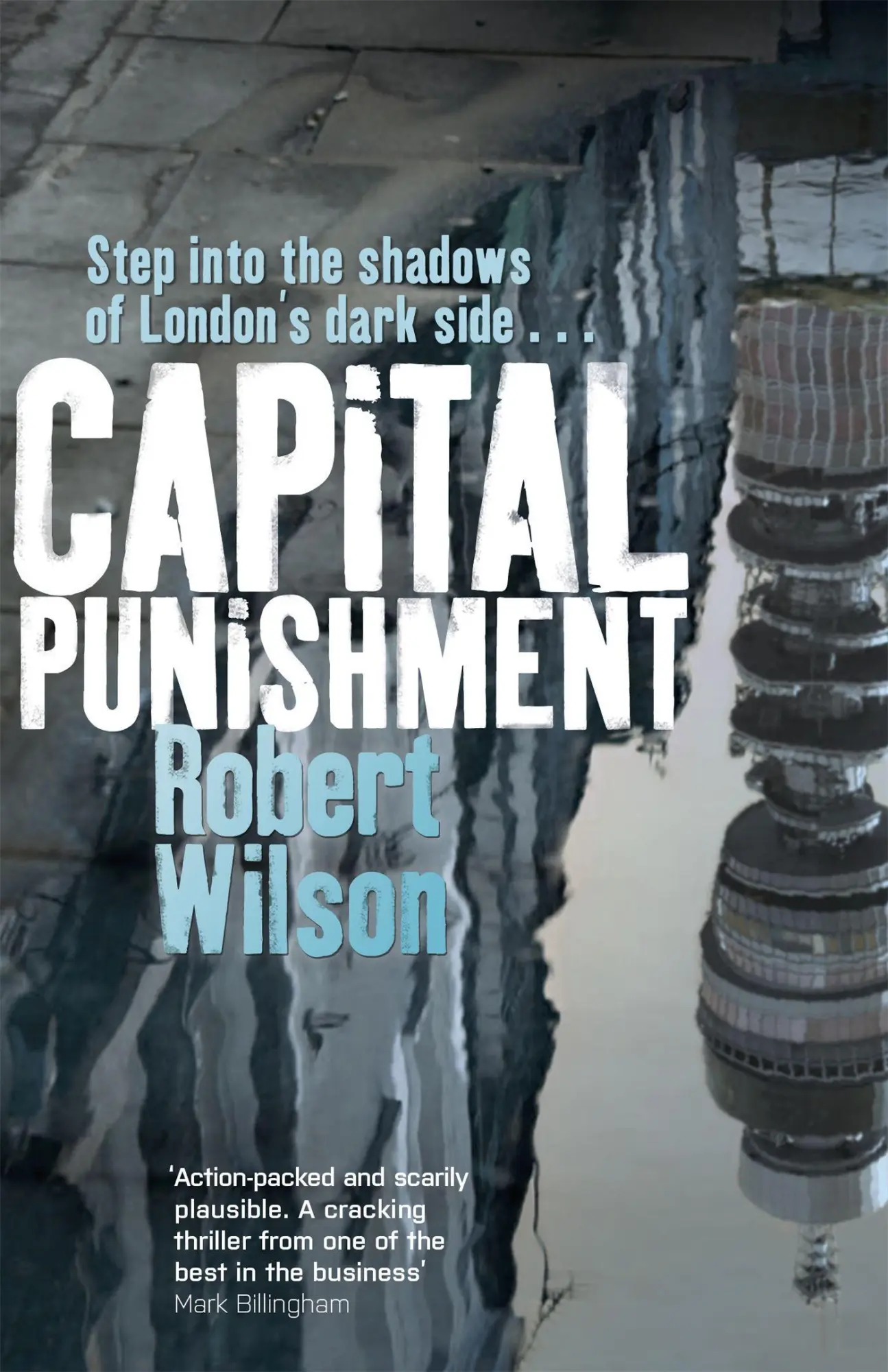 Cover: 9781409139027 | Capital Punishment | Robert Wilson | Taschenbuch | Englisch | 2014