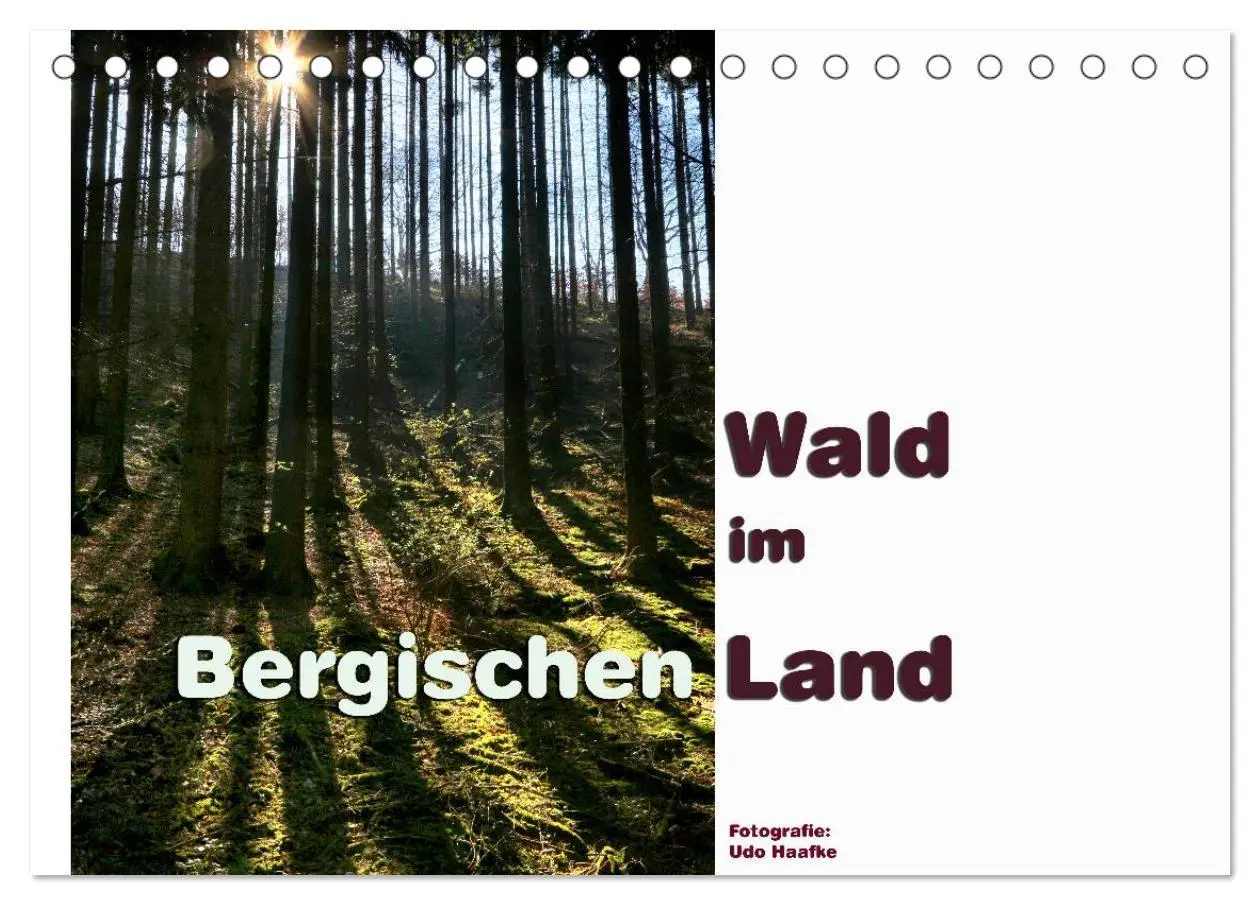 Cover: 9783457909027 | Wald im Bergischen Land 2026 (Tischkalender 2026 DIN A5 quer),...