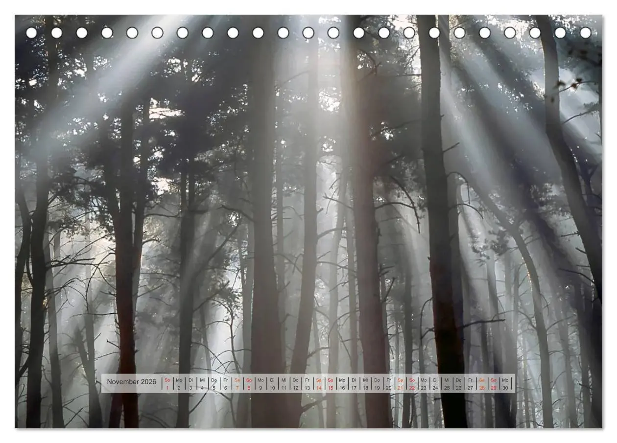 Bild: 9783457909027 | Wald im Bergischen Land 2026 (Tischkalender 2026 DIN A5 quer),...