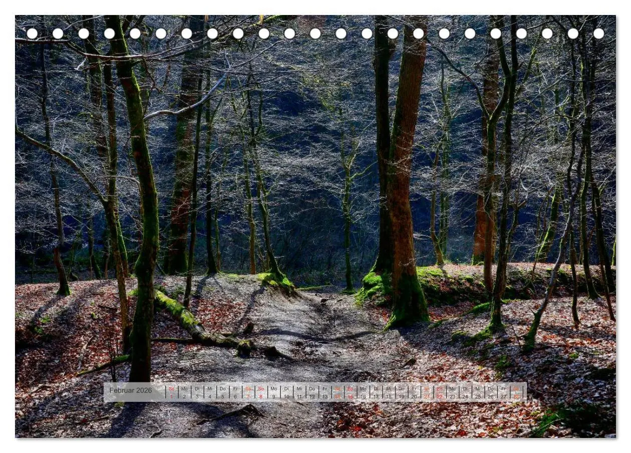 Bild: 9783457909027 | Wald im Bergischen Land 2026 (Tischkalender 2026 DIN A5 quer),...