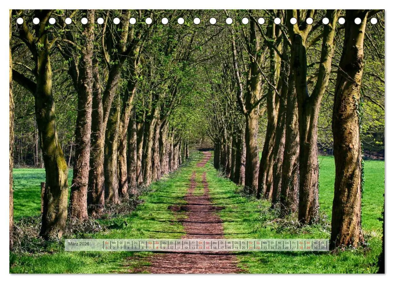 Bild: 9783457909027 | Wald im Bergischen Land 2026 (Tischkalender 2026 DIN A5 quer),...