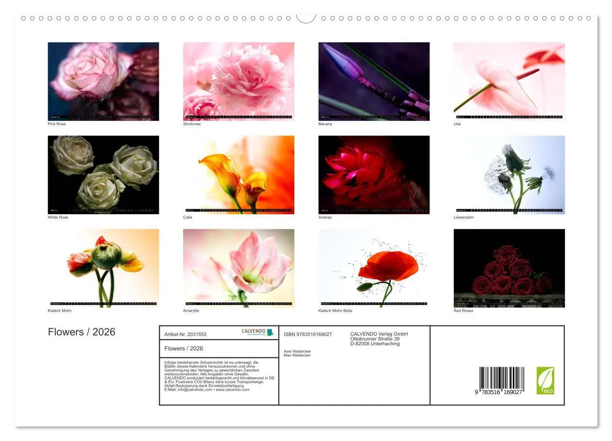 Bild: 9783516169027 | Flowers / 2026 (hochwertiger Premium Wandkalender 2026 DIN A2...