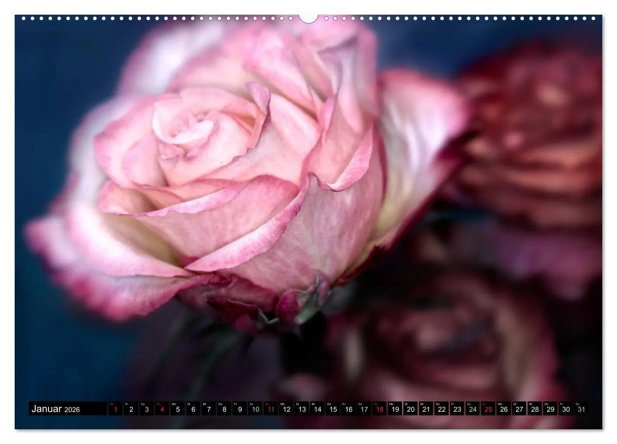 Bild: 9783516169027 | Flowers / 2026 (hochwertiger Premium Wandkalender 2026 DIN A2...