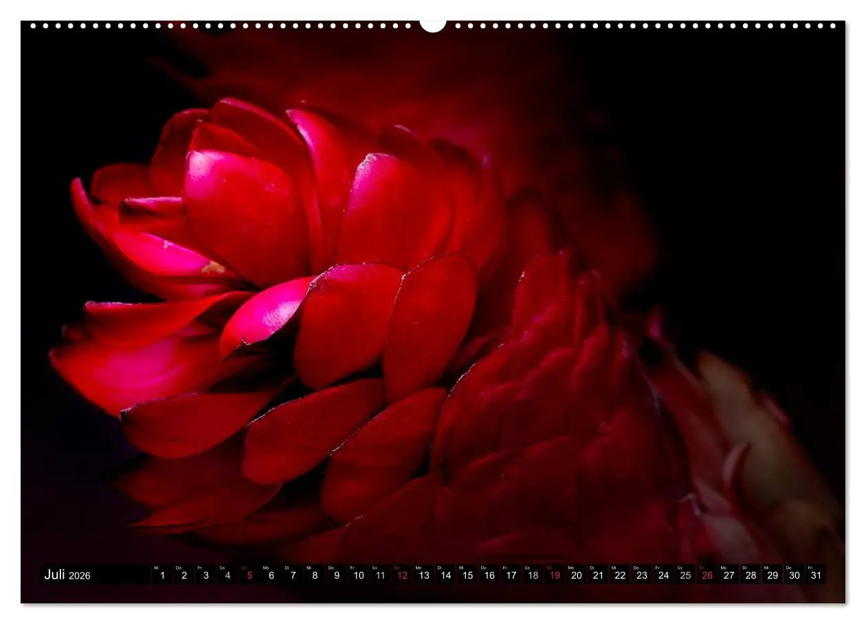 Bild: 9783516169027 | Flowers / 2026 (hochwertiger Premium Wandkalender 2026 DIN A2...