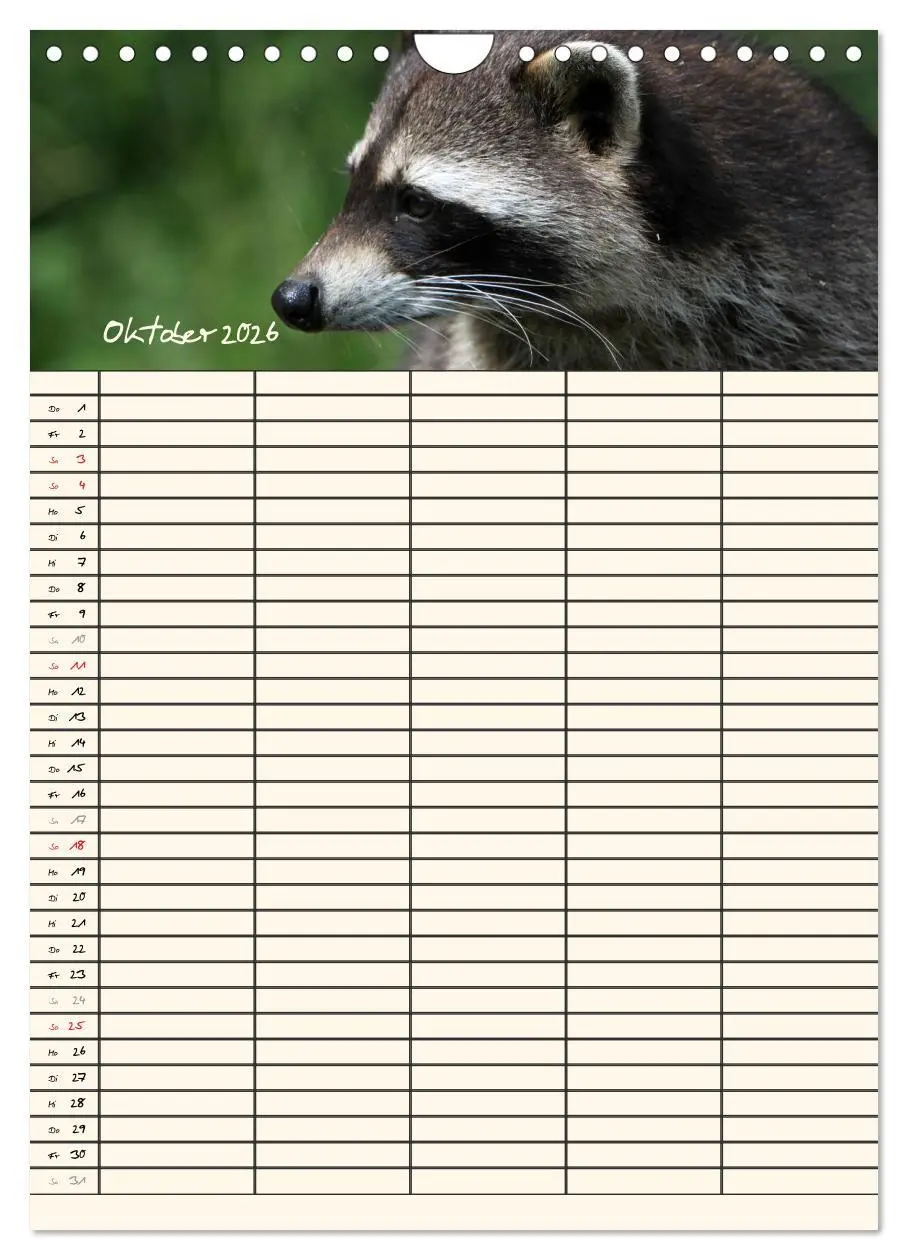 Bild: 9783516479027 | Waschbären Familienplaner (Wandkalender 2026 DIN A4 hoch), CALVENDO...