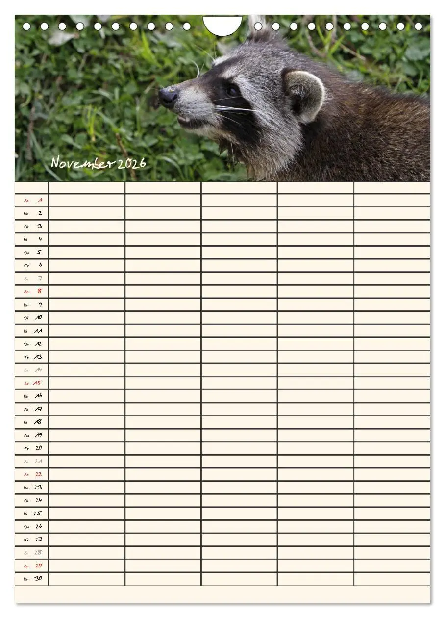 Bild: 9783516479027 | Waschbären Familienplaner (Wandkalender 2026 DIN A4 hoch), CALVENDO...