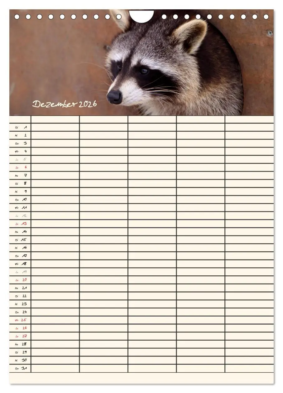 Bild: 9783516479027 | Waschbären Familienplaner (Wandkalender 2026 DIN A4 hoch), CALVENDO...