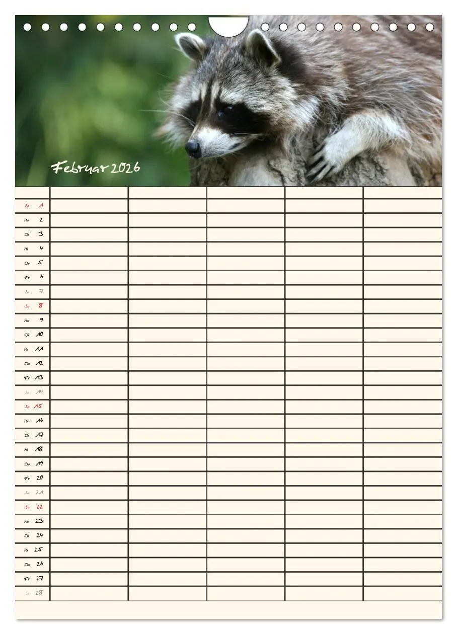 Bild: 9783516479027 | Waschbären Familienplaner (Wandkalender 2026 DIN A4 hoch), CALVENDO...