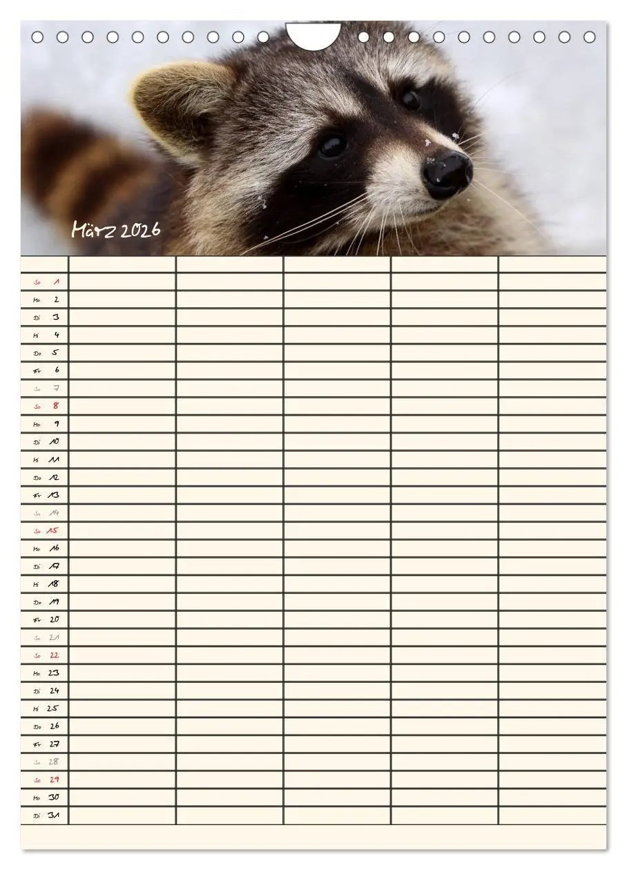 Bild: 9783516479027 | Waschbären Familienplaner (Wandkalender 2026 DIN A4 hoch), CALVENDO...