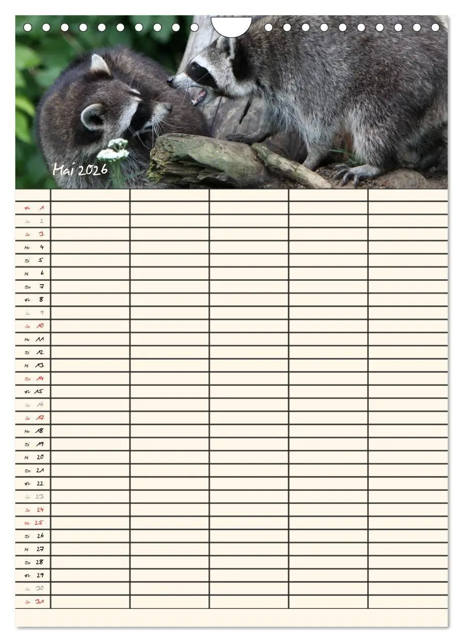 Bild: 9783516479027 | Waschbären Familienplaner (Wandkalender 2026 DIN A4 hoch), CALVENDO...