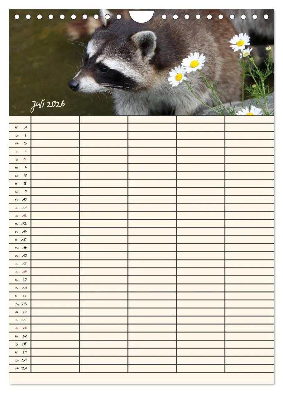 Bild: 9783516479027 | Waschbären Familienplaner (Wandkalender 2026 DIN A4 hoch), CALVENDO...