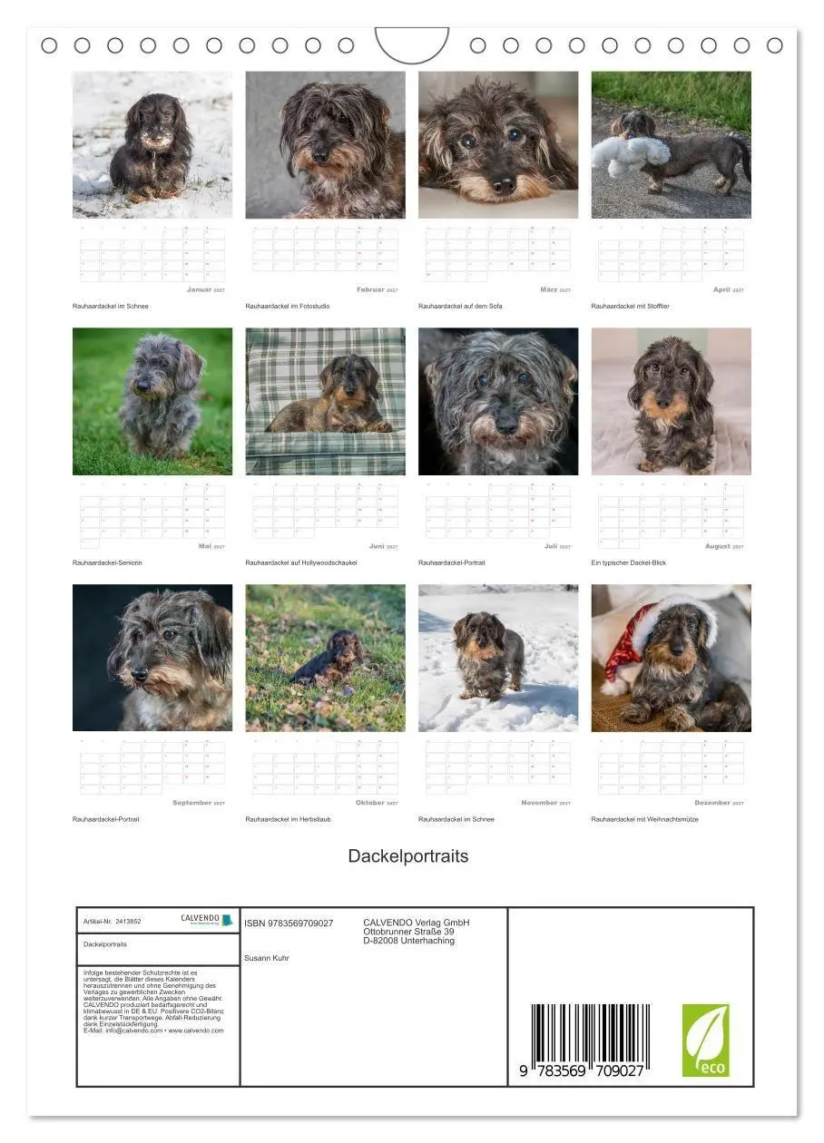 Bild: 9783569709027 | Dackelportraits (Wandkalender 2027 DIN A4 hoch), CALVENDO...