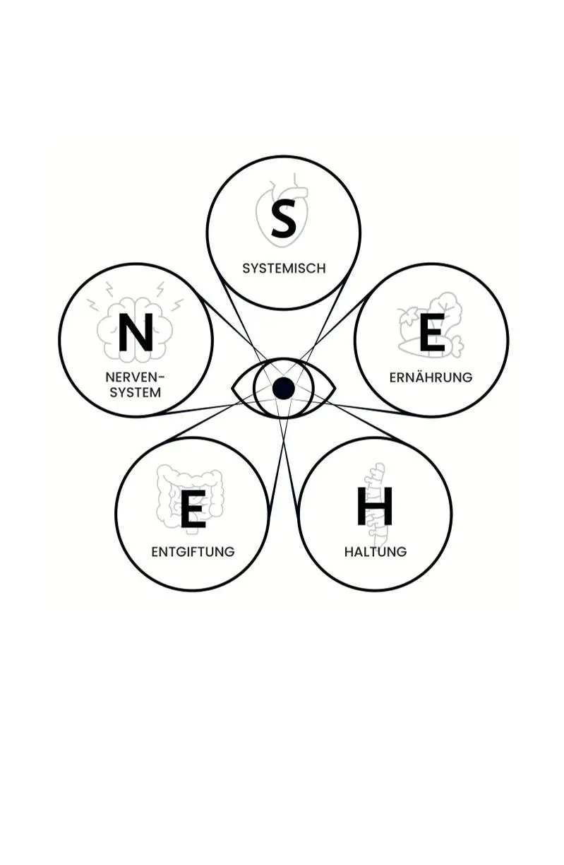 Bild: 9783912549027 | Das S.E.H.E.N. Prinzip. | Peter Emmrich (u. a.) | Buch | 160 S. | 2026