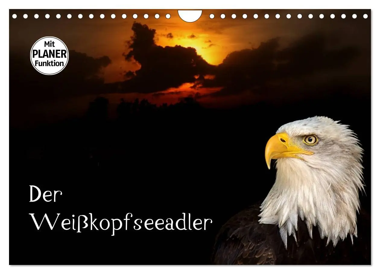 Cover: 9783457999127 | Der Weißkopfseeadler (Wandkalender 2026 DIN A4 quer), CALVENDO...