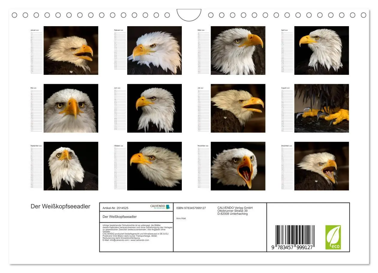 Bild: 9783457999127 | Der Weißkopfseeadler (Wandkalender 2026 DIN A4 quer), CALVENDO...